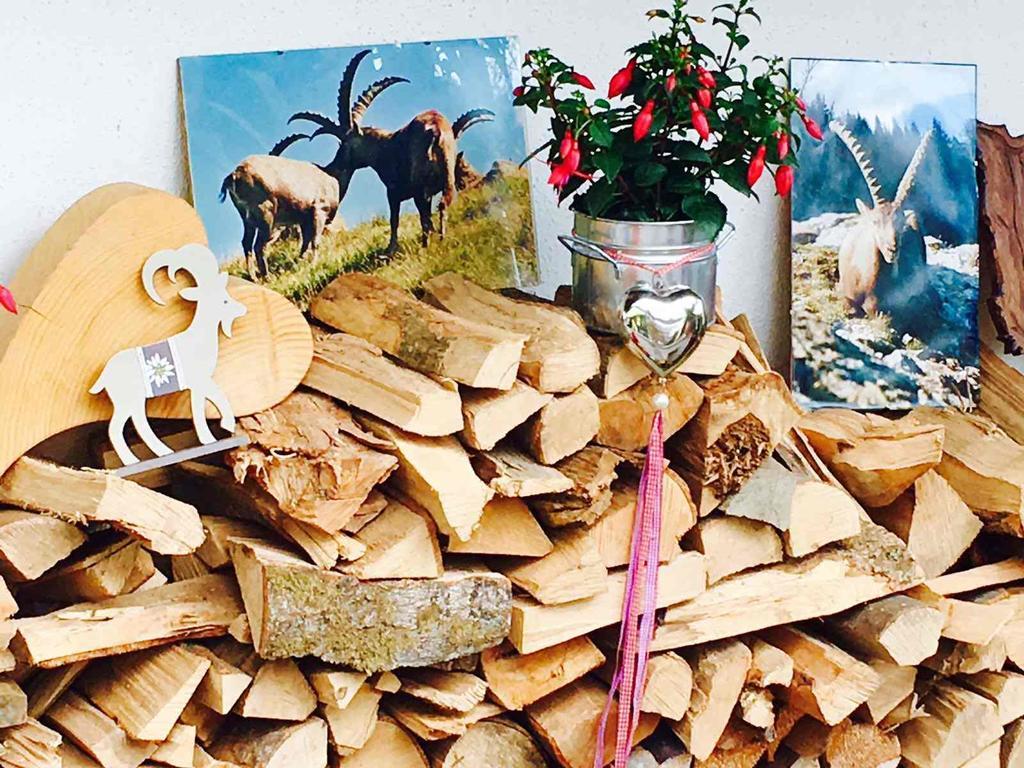 Steinbock Bed & Breakfast Fischen im Allgaeu Kültér fotó